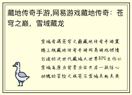 藏地传奇手游,网易游戏藏地传奇:苍穹之巅,雪域藏龙